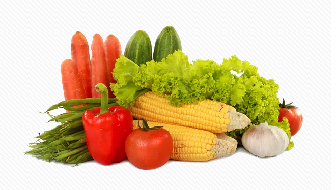 佛山蔬菜配送 佛山蔬菜配送