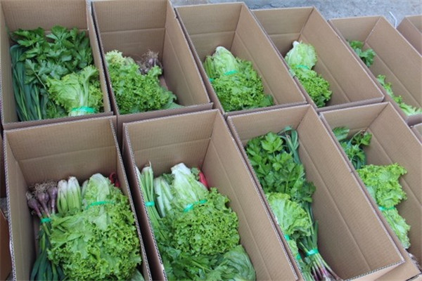 佛山蔬菜配送 佛山蔬菜配送