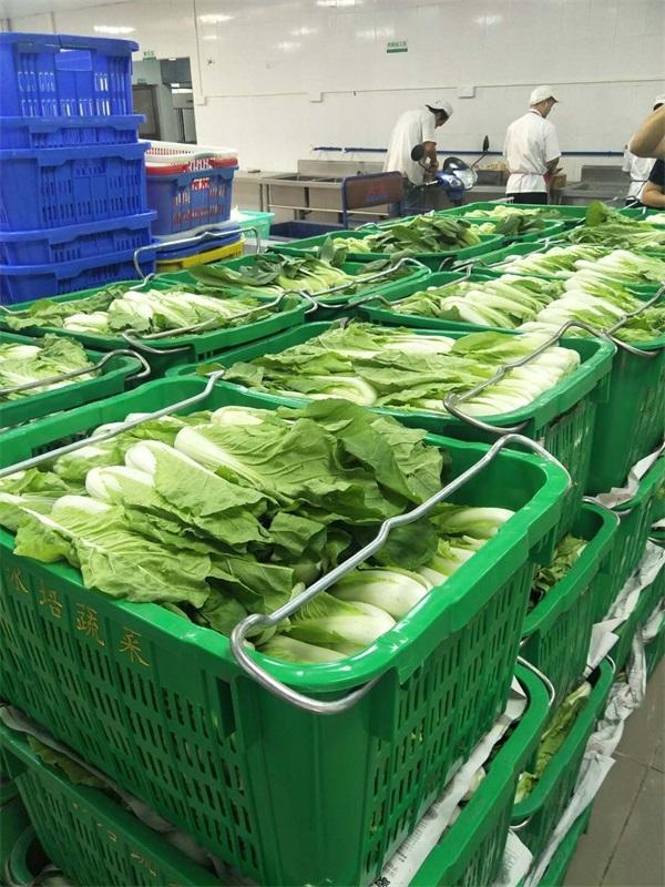 佛山蔬菜配送 佛山蔬菜配送